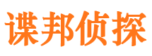 宁明侦探公司